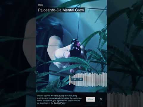 Palo Santo-Da Mental Crew