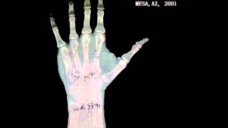 Jerry Cantrell - Hellbound - Live At Nile Theater 2001