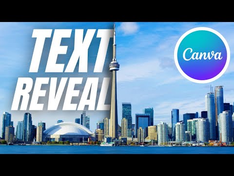 How to Create a Product Animation Video Ad in Canva Step by Step Guide