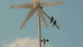 preview picture of video 'My Wind Turbines and Birds'