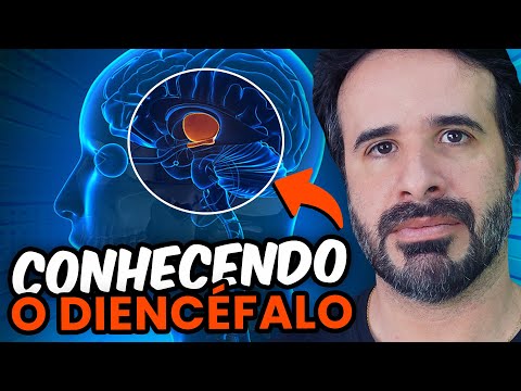 CONHECENDO O DIENCÉFALO