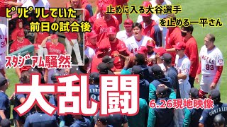 [問卦] 大谷翔平這種身材跟別人打架會贏嗎?