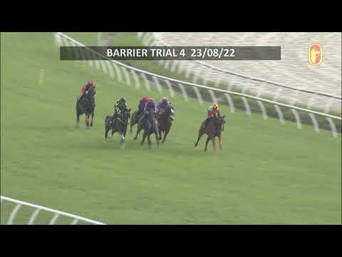 23 AUG 2022 BARRIER TRIAL 4