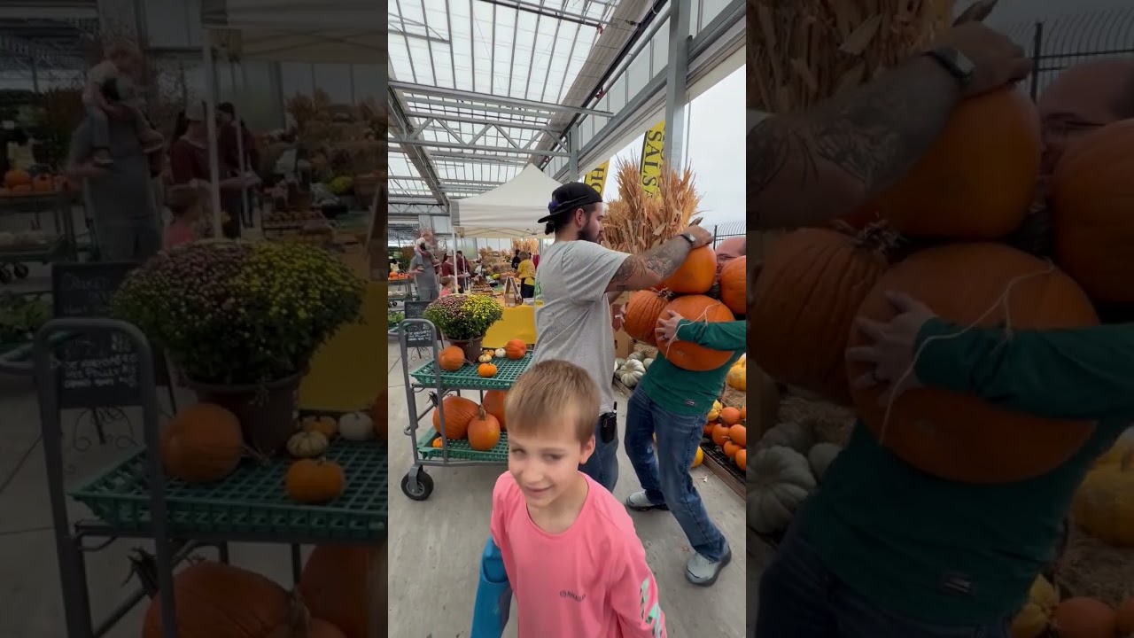 Customers Getting the Most From an All-You-Can-Carry Pumpkin Deal || ViralHog