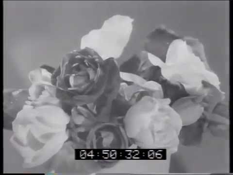 Old Cadbury's Roses Chocolates (Wedding Style of Cadbury's Advertisement)