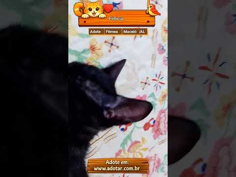 Vídeo de Felicia 