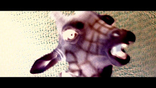 Boston Manor &quot;Cu&quot; Official Music Video