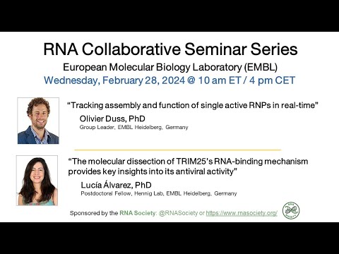 RNA Collaborative - European Molecular Biology Laboratory (EMBL), February 28, 2024