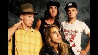 Red Hot Chili Peppers Punk Rock Classic