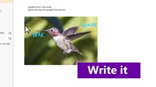 OneNote Tips: Learn how to take notes