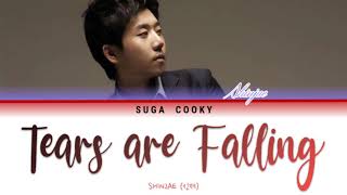 Shin Jae 신재 - Tears are Falling 눈물이 난다 Lyrics (Color Coded Lyrics Han/Rom/Eng)