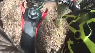 Hillbilly road riding