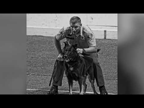 Dispatch Aco Farewell