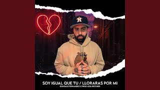 Soy igual que tú / Llorarás por mí