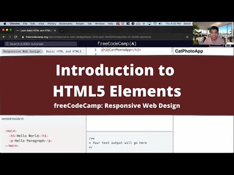 Introduction To Html5 Elements Basic Html And Html5 Freecodecamp Tutorial