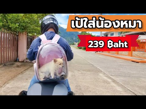 รีวิวกระเป๋า เป้
