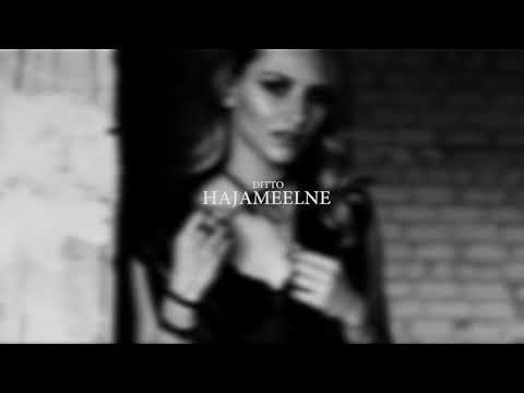 DITTO - HAJAMEELNE