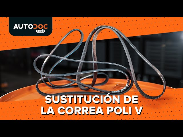 Vea una guía de video sobre cómo reemplazar PEUGEOT 404 Correa trapecial poli v