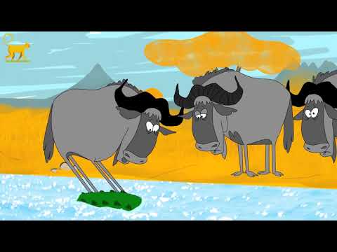 Dilemma    Animation short