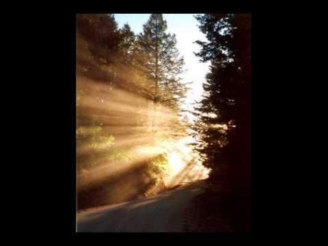 Melodiq - Let Your Light Shine (Produced by Terem)