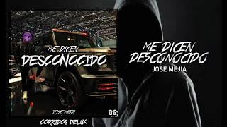 Me Dicen Desconocido Lyrics English Translation