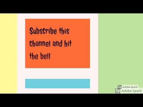 Cat fun with kitten !! Animals fun !!