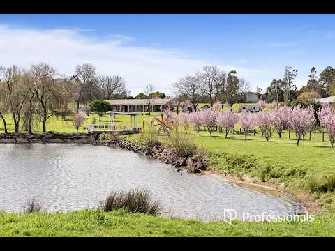 4 Tarrawarra Road, Coldstream, VIC 3770, 4 phòng ngủ, 4 phòng tắm, House