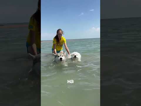 27 ноября 2025 г.