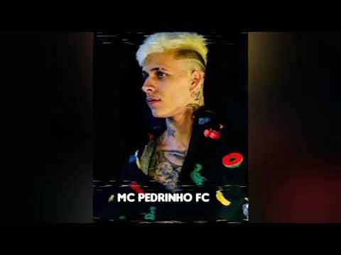 Mc Pedrinho - Galáxia (Áudio Oficial) Prod.Caio Passos