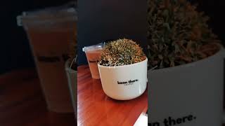 Bean There Cafe in Iloilo City  #coffee #iloilo #travel #iloilocity #coffeelover