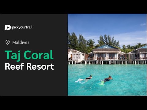Videos del Taj Coral Reef Resort  Spa 5★ en Atolón de Malé Norte, MaldivasVer MásVerPrecios18CerrarConsulta por Whatsapp 🇦🇷BookingTripadvisorExpediaAgodaTravelocityOrbitzPricelineTripSkyscannerDespegarKayakHotelesDestiniaTrivagoAlmundoLastminuteTuiWotif