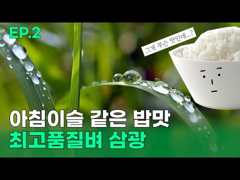 삼광미 소개 영상