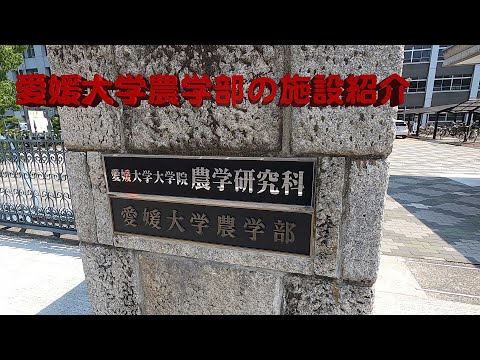 生命機能学科 0004　愛媛大学農学部内をお散歩　(2020年8月2日)