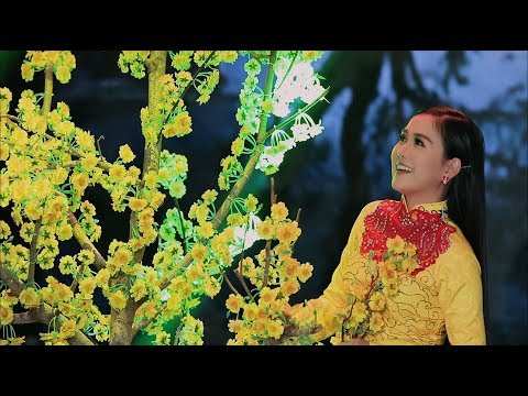 VUI TẾT MIỆT VƯỜN || Lê Như || Official MV