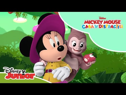 🌴 Înapoi în pădurea fermecată | Mickey Mouse: Casa distracției | Disney Junior România