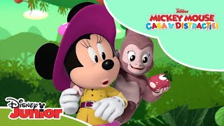 🌴 Înapoi în pădurea fermecată  Mickey Mouse