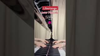 Download lagu Libertango - Astor Piazzolla 🐰 リベルタンゴ  - ピアソラ no.4 mp3