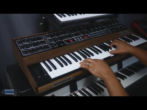 Sequential Prophet 5 - How Does It Sound?
