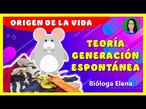 Teoría generación espontánea