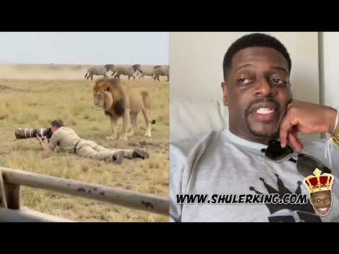 Shuler King - The Lion Is Just Waiting 