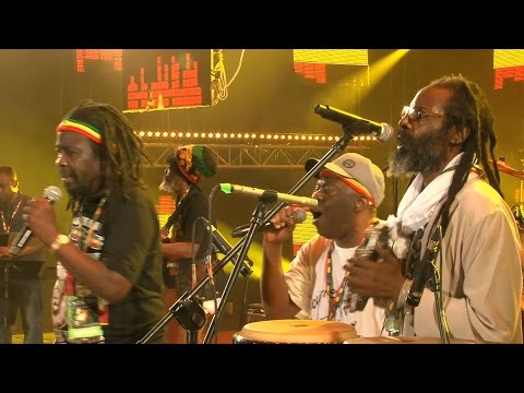 BLACK ROOTS (UK/JAM) - Live @ Ostróda Reggae Festival 2015 / Poland