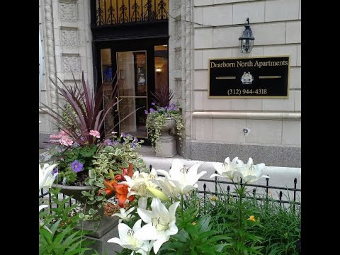 1117 N Dearborn