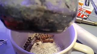 DANGER! Homemade Capacitors DO NOT TRY THIS AT HOME! Peek at my Battery... #LIVELIFELOVING⚡DANGER⚡