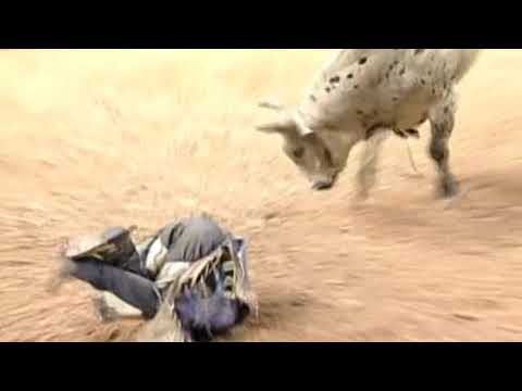 All In bucks Jared Farley - 06 PBR Finals