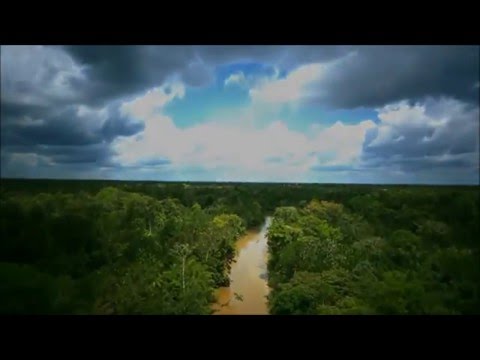 Tempo E Destino - Leila Pinheiro