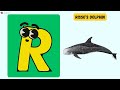 ABC Dolphin Song For Kids A To Z Dolphin Species Fun Learning Phonics Ocean Rhymes Abcd Kids