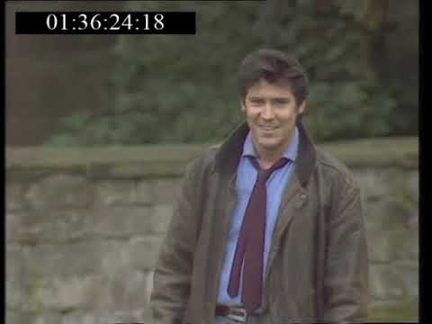 shakin stevens give me your heart tonight on hold tight