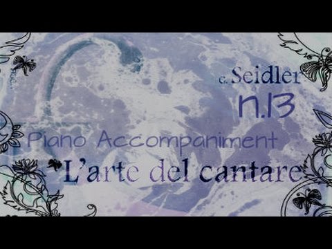 Seidler n.13 - Piano Accompaniment (Play-Along)