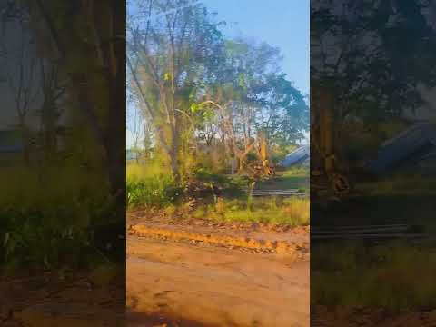 Saindo do distrito de Novo Paraná, Porto dos Gaúchos-MT.