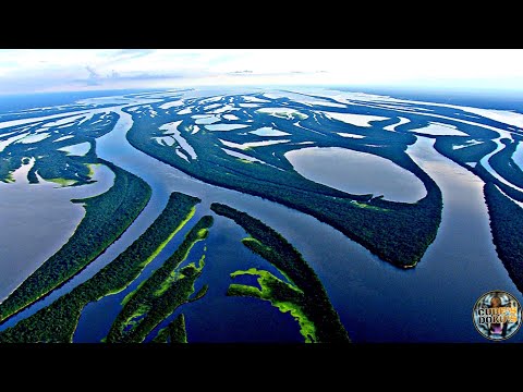 Amazonas Delta - Eine der größten und artenreichsten Landschaften der Welt | Cube's Doku's
